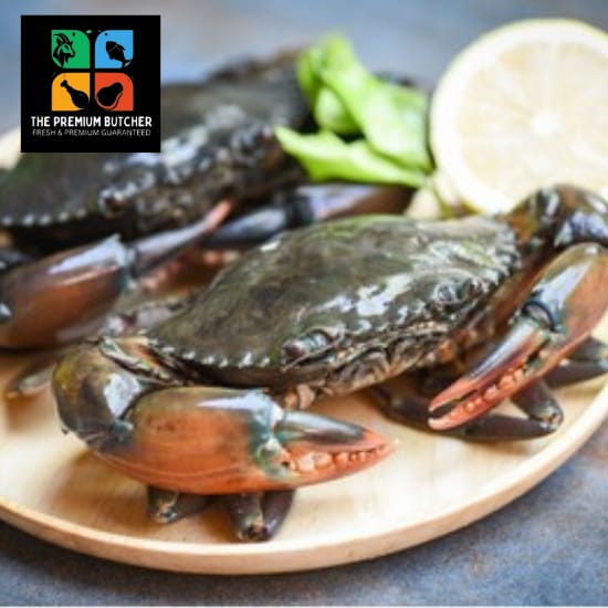 Crabs – M/F